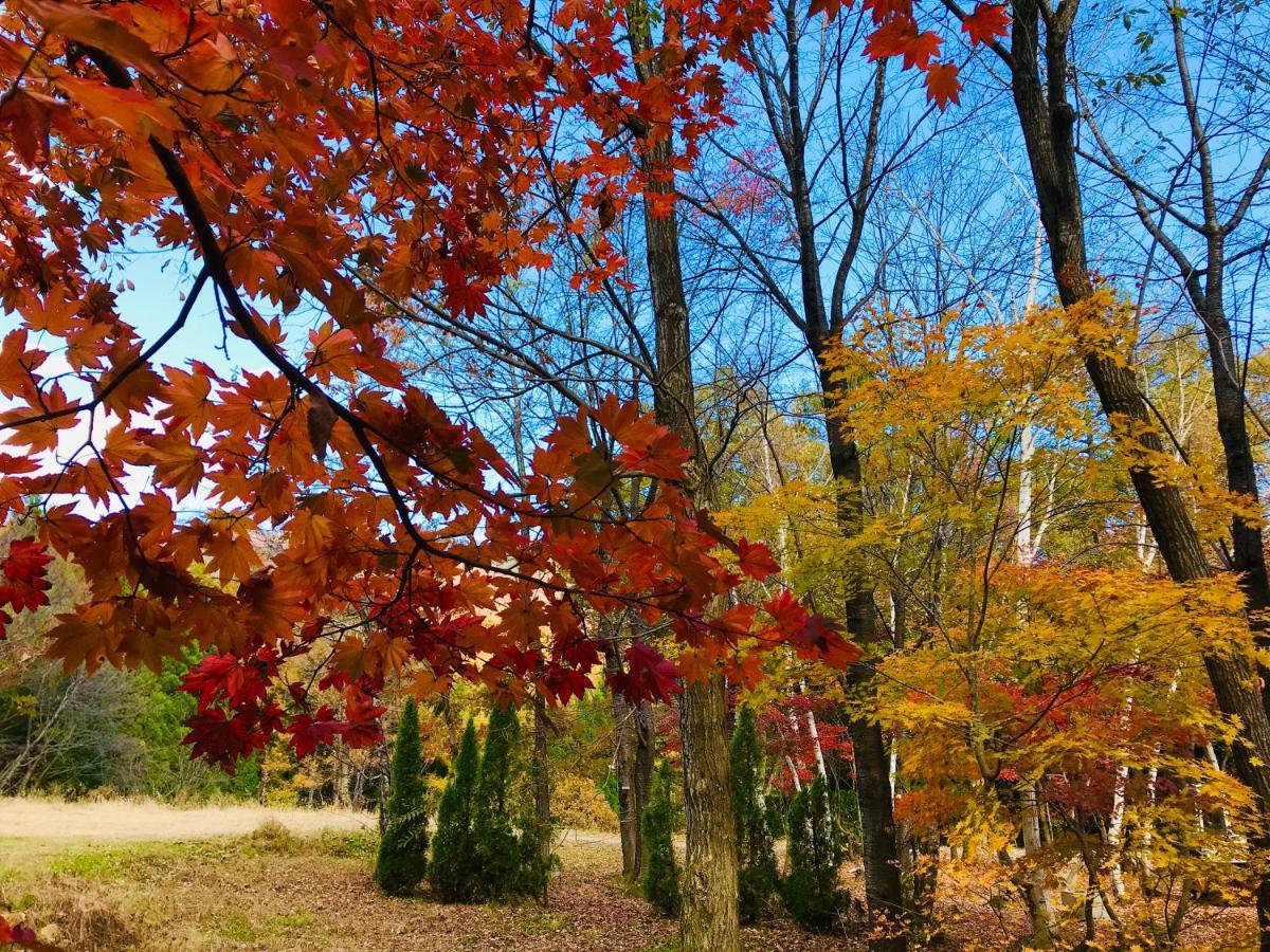 Hakuba Canadian Lodge 외부 사진