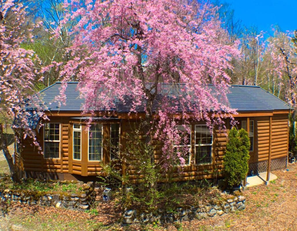 Hakuba Canadian Lodge 외부 사진